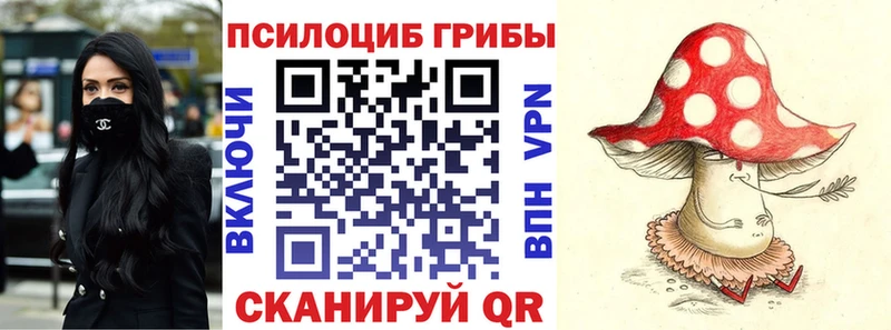 Псилоцибиновые грибы Magic Shrooms  omg как зайти  Анива 