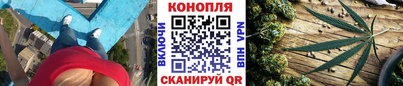 Конопля план  как найти   Анива 